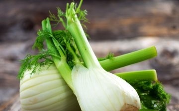 Composition and beneficial properties of fennel