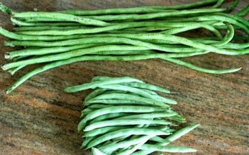 What is the difference between green beans and asparagus?