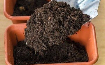 Preparing dishes and soil