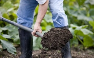 Pregătirea amplasamentului și a solului