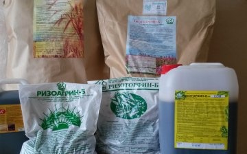 The value and types of biofertilizers