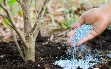 Tipy pro správné používání minerálních hnojiv
