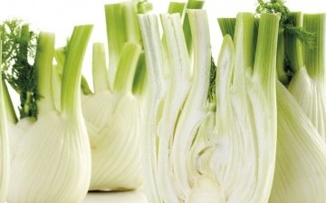 How to choose the right fennel?