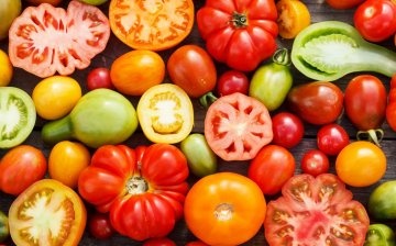 أصناف شعبية من الطماطم للزراعة