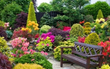 Secrets of the master for creating flower beds and flower beds