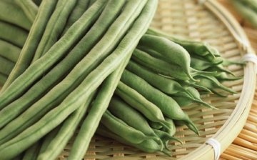 Description of green beans