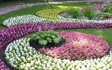 Combinations of perennial and annual flowers