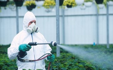 Pesticidy: popis chemické látky