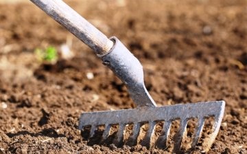 Termíny přípravy a výsadby půdy