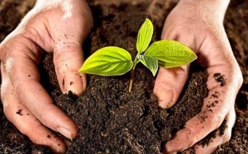 The concept of "living soil" - what is it