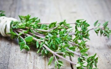 The benefits and uses of thyme