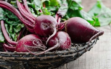 The most productive varieties of beets