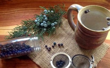 All about the use of juniper