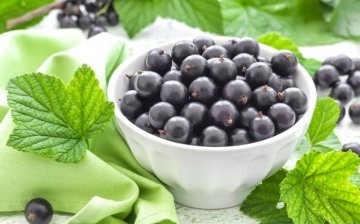 Useful properties and use of currants