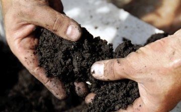 Pregătirea amplasamentului și a solului