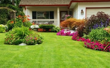 Where is the best place to arrange the flower bed?