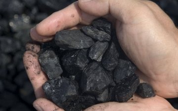 Types of coal fertilizers