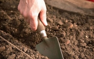 A talaj előkészítése ültetésre