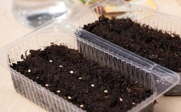 Soil preparation and sowing