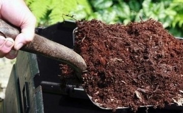 How to acidify soil