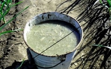 Preparation and use of liquid fertilizer