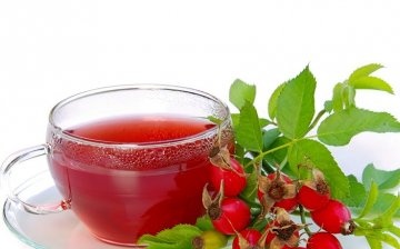 The best recipes for brewing rosehip tea