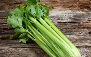 The composition and useful properties of celery