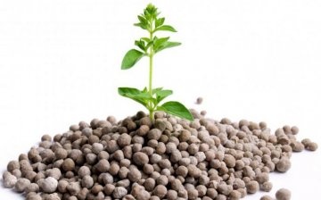 Characteristics of phosphorus fertilizers