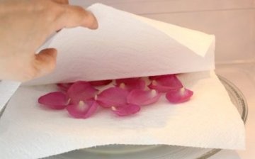 Pravidla pro sušení okvětních lístků růží v mikrovlnné troubě