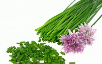 Chives and their properties