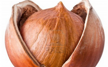 Užitečné vlastnosti lískových ořechů