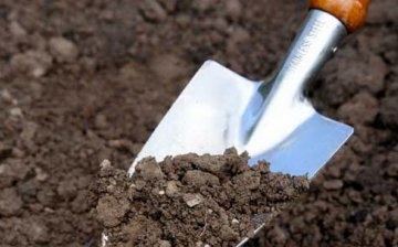 A talaj előkészítése salátához
