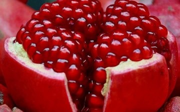 Features of the structure of the pomegranate