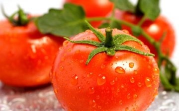 What varieties of tomatoes are suitable for growing in a barrel