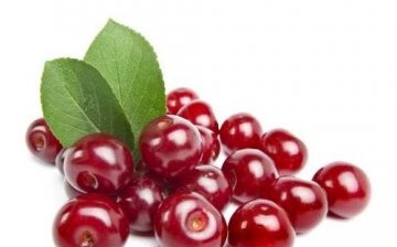 Reproduction of felt cherries