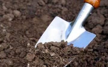 High soil acidity: how to lower it