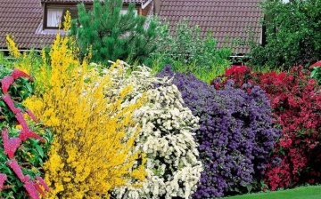 Useful tips for decorating your garden