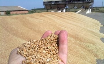 Norme de manipulare a cerealelor