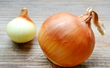 The healing properties of onions