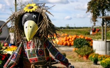 Original ideas for creating a scarecrow