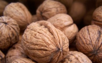 Vlastnosti a metody skladování ořechů ve skořápce