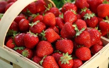 Advantages and disadvantages of garden berries