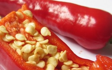 Aplikace chilli papriček