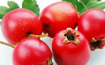 Složení a užitečné vlastnosti ovoce