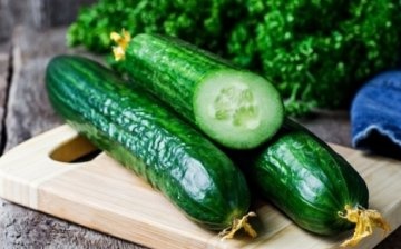 Scope of cucumber culture