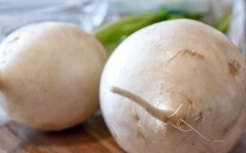 The main types of radish, their features