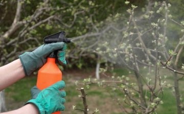 ميزات استخدام مبيدات الفطريات