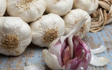 Spring garlic: species description