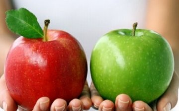 The best varieties of apples for storage