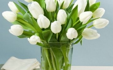 kako čuvati izrezane tulipane